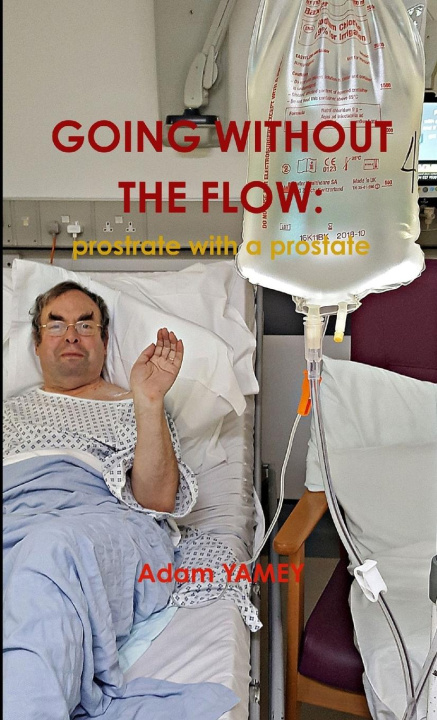 Book GOING WITHOUT THE FLOW Adam YAMEY