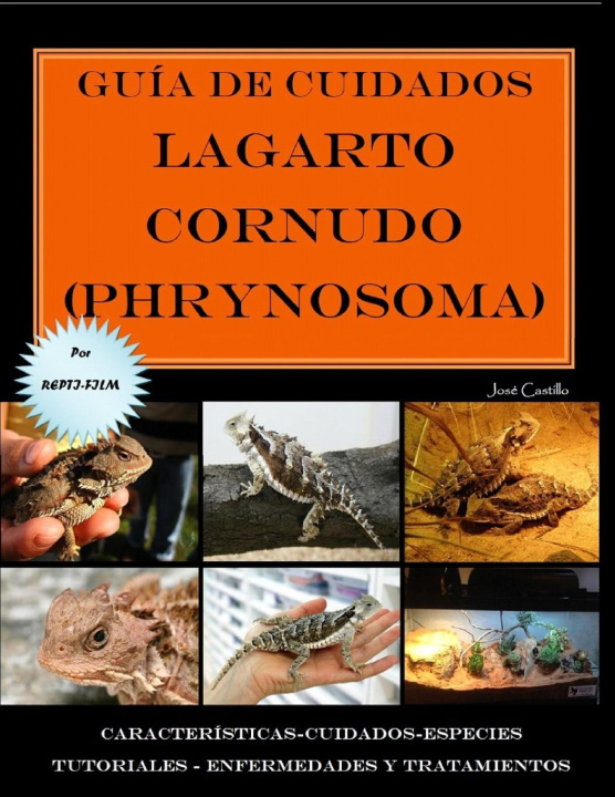 Carte Guía de cuidados del lagarto cornudo (Phrynosoma) Versión económica 