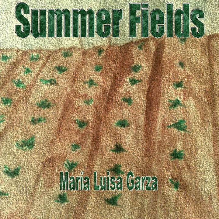 Knjiga Summer Fields María Luisa Garza
