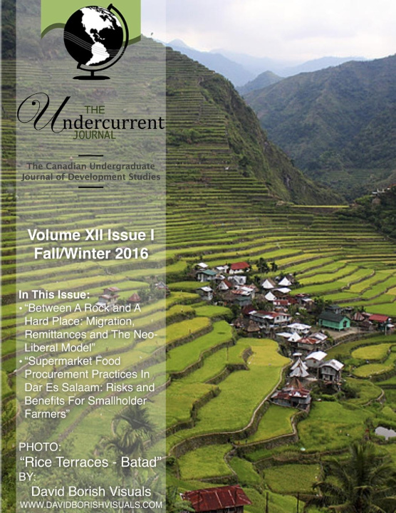 Knjiga Undercurrent Journal Andrew Hay (Editor-In-Chief)