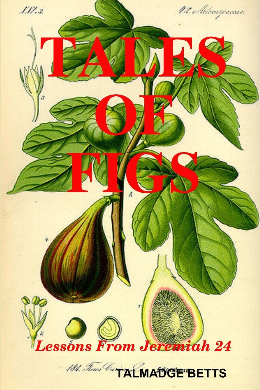 Kniha TALES OF FIGS 