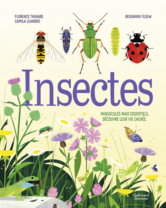 Knjiga Insectes Thinard