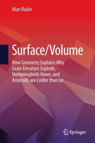 Knjiga Surface/Volume Alan Rubin