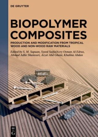 Knjiga Biopolymer Composites Salit Sapuan