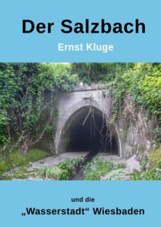 Carte Der Salzbach und die "Wasserstadt" Wiesbaden Ernst Kluge