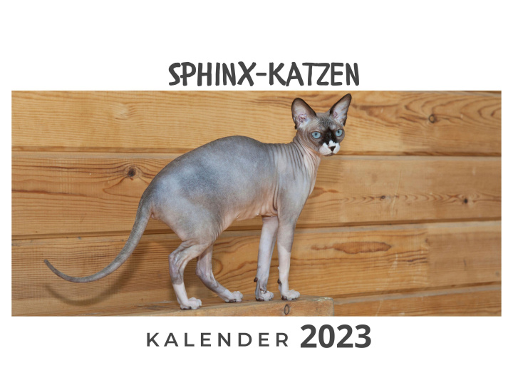 Calendar / Agendă Sphinx-Katzen 
