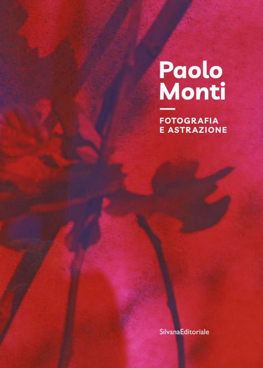 Carte Paolo Monti. Fotografia e astrazione 