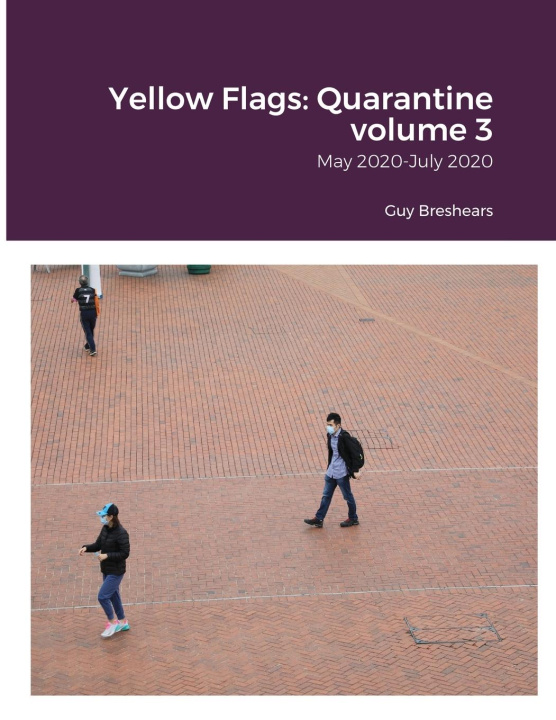 Buch Yellow Flags Guy Breshears