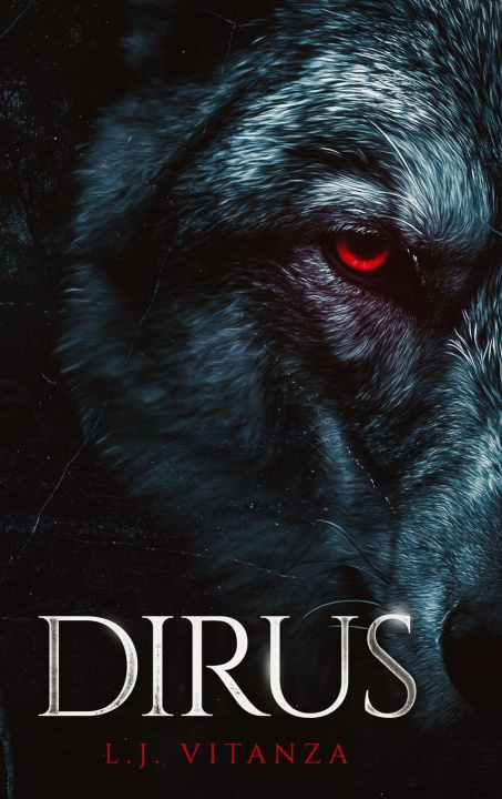 Książka Dirus L.J. Vitanza