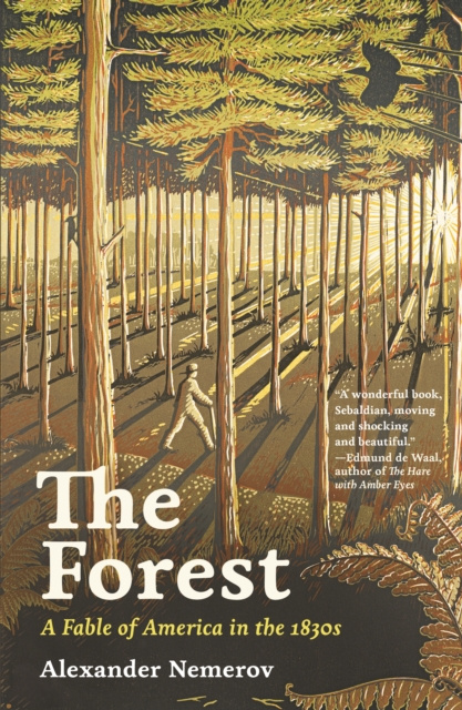 E-kniha Forest Alexander Nemerov