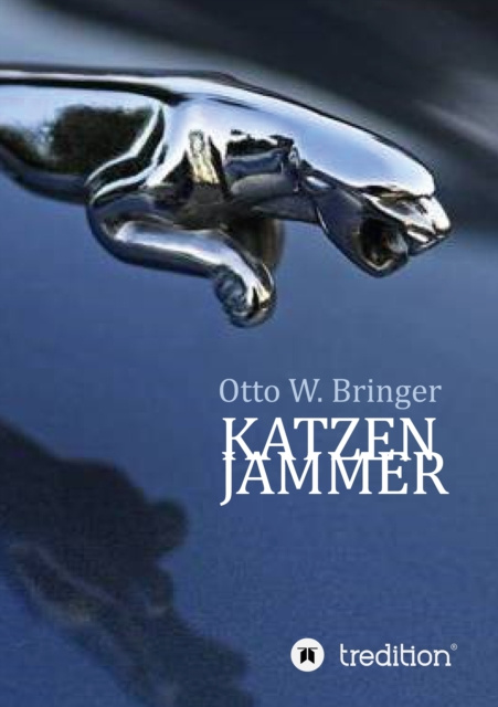 E-book Katzenjammer Otto W. Bringer