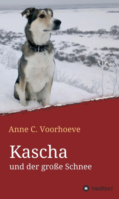 E-knjiga Kascha und der groe Schnee Anne C. Voorhoeve