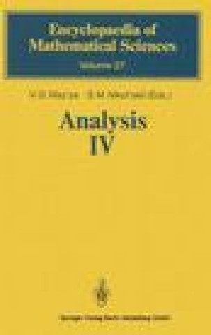 Kniha Analysis IV: Linear and Boundary Integral Equations V. G. Maz'ya