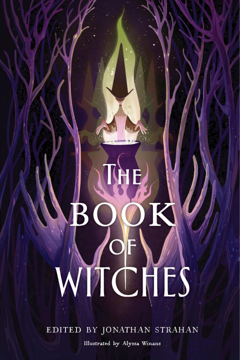 Kniha Book of Witches 