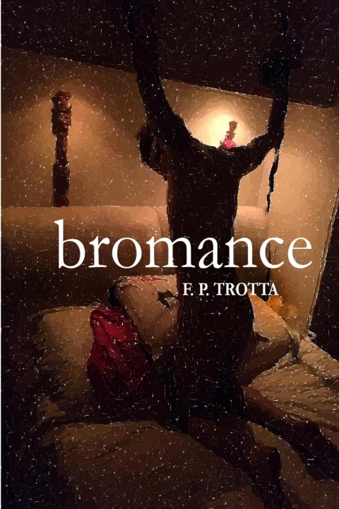Book Bromance F. P. Trotta