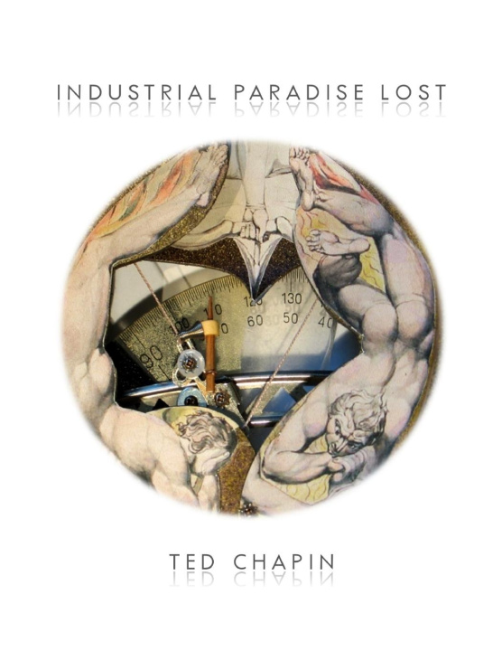 Boek Industrial Paradise Lost Ted Chapin