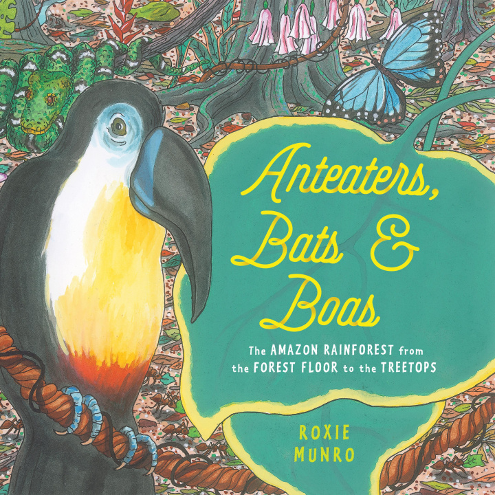 Kniha Anteaters, Bats & Boas: The Amazon Rainforest from the Forest Floor to the Treetops 