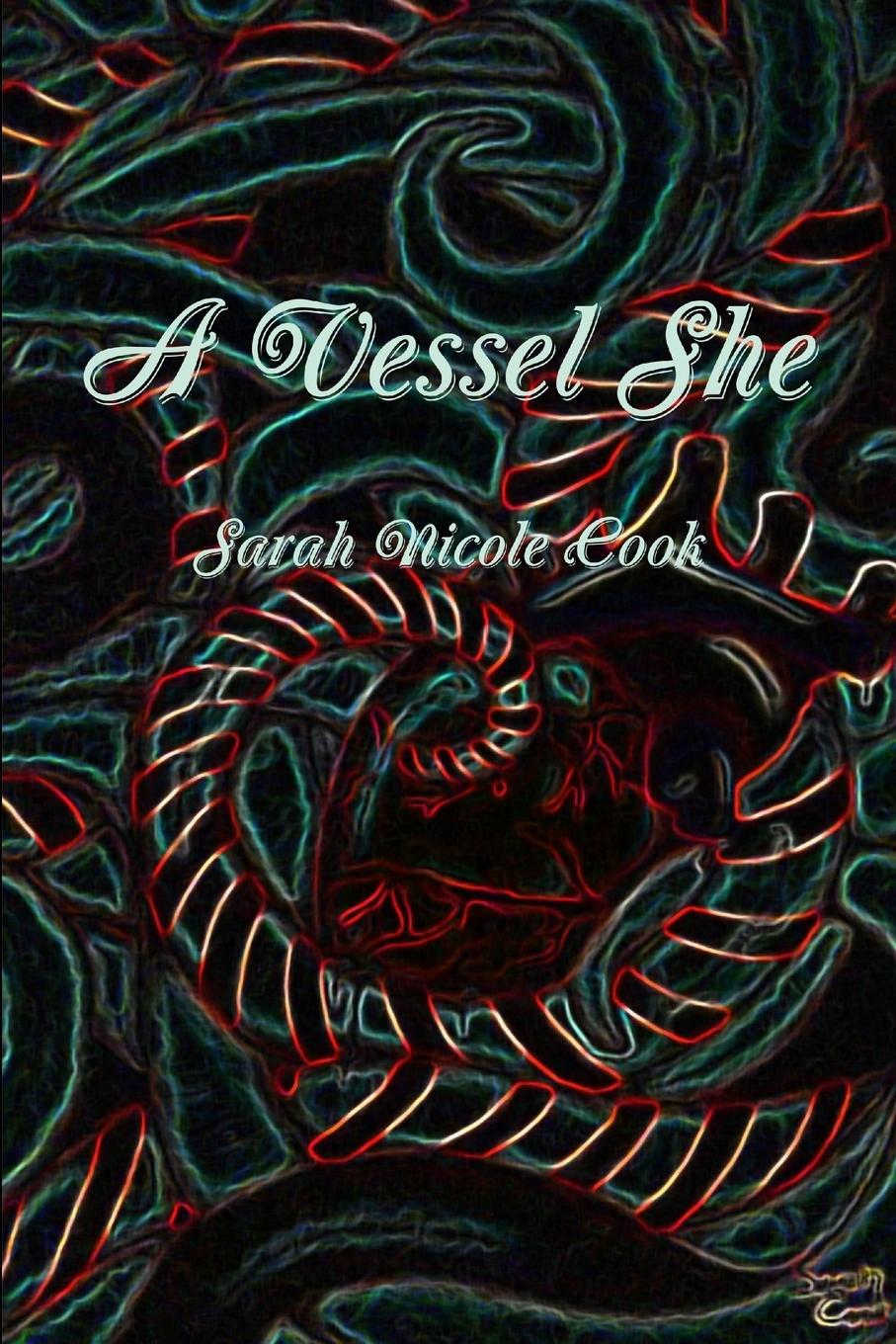 Knjiga A Vessel She Sarah Cook