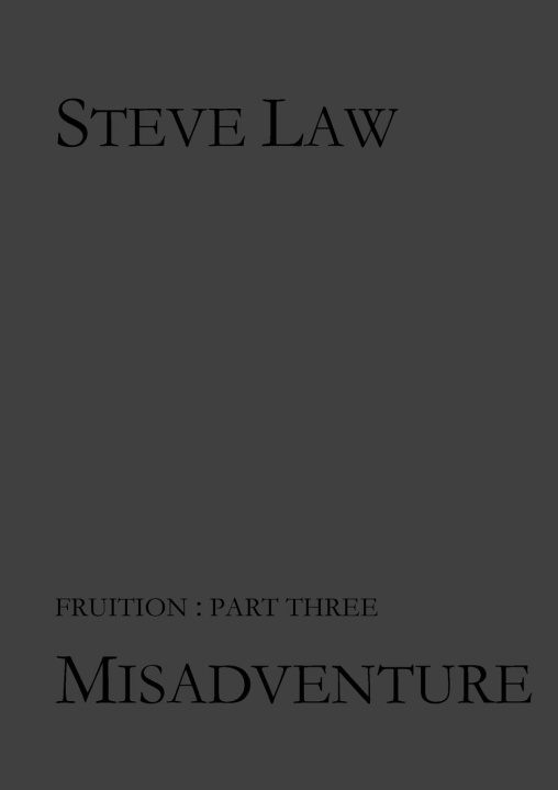 Knjiga Misadventure Steve Law