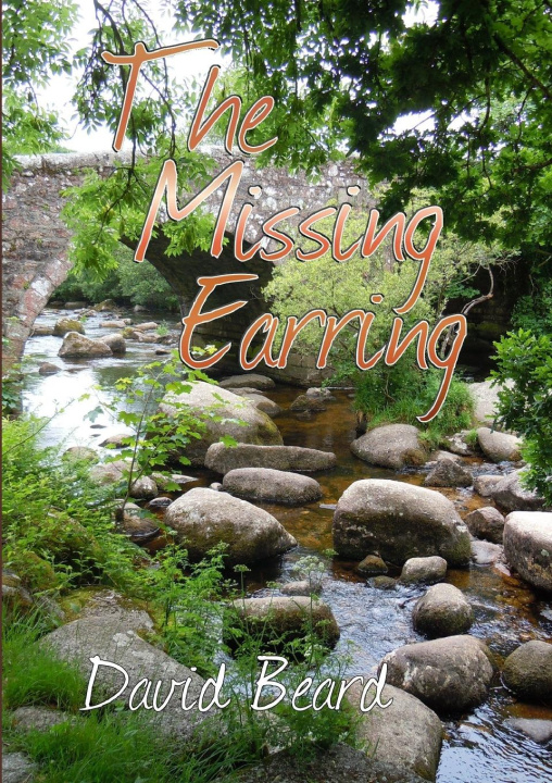 Book The Missing Earring David Beard
