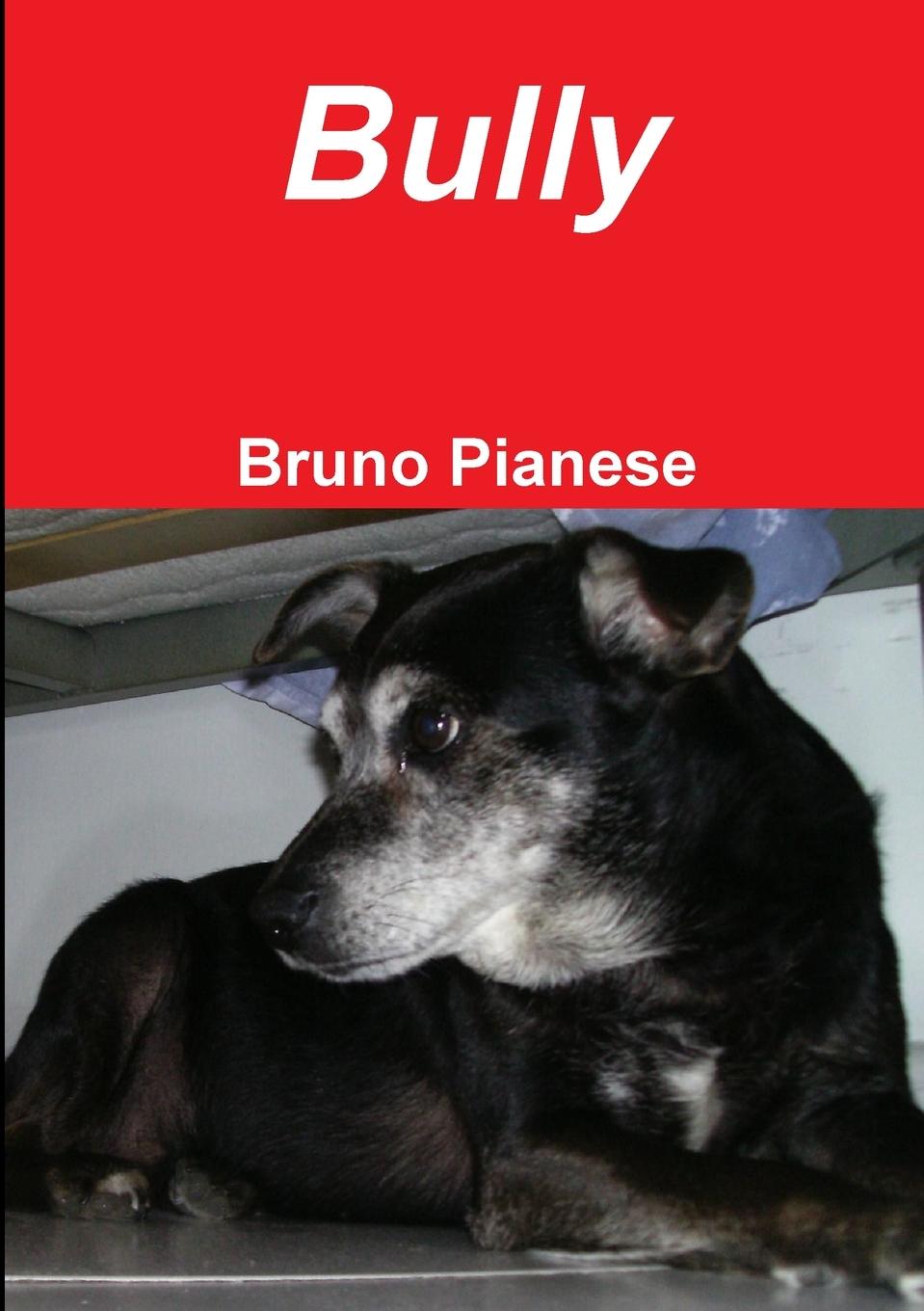 Carte Bully Bruno Pianese