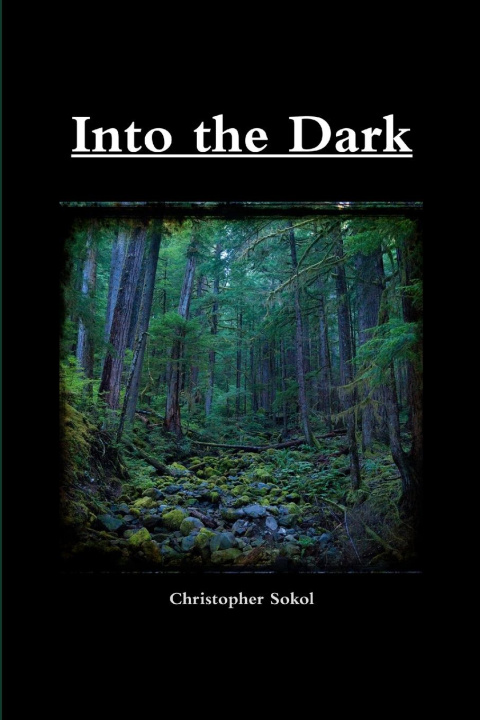 Knjiga Into the Dark Christopher Sokol