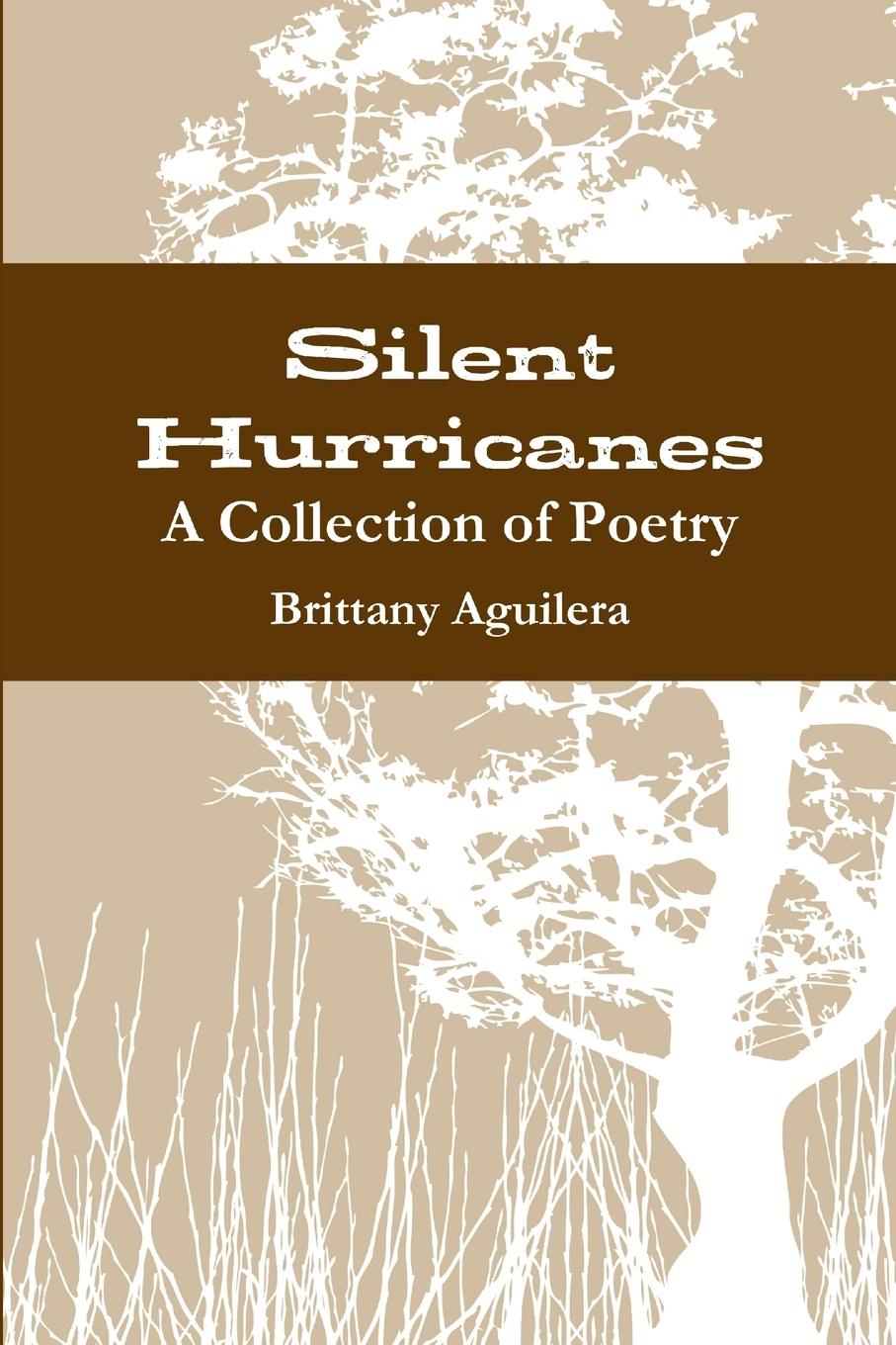 Knjiga Silent Hurricanes Brittany Aguilera