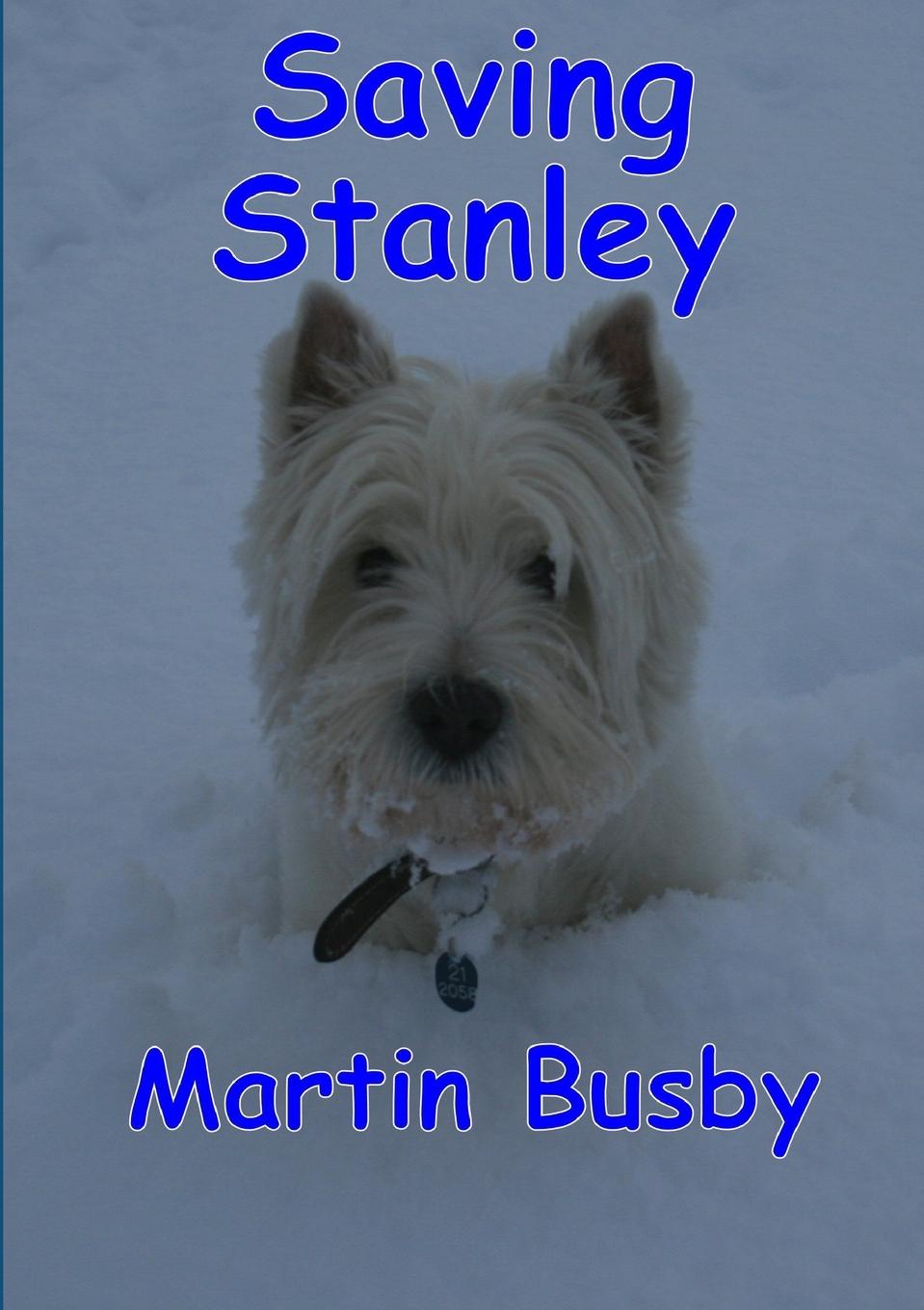 Book Saving Stanley Martin Busby