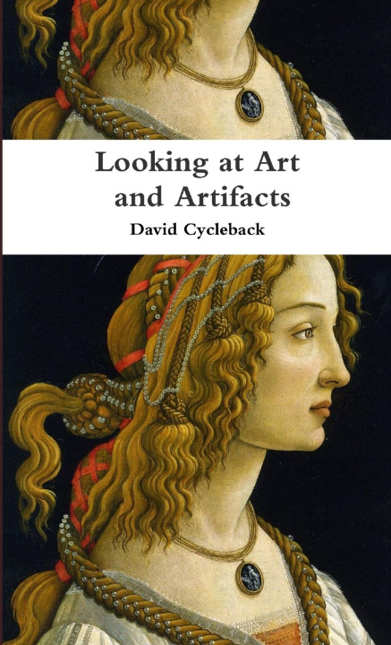 Kniha Looking at Art and Artifacts David Cycleback