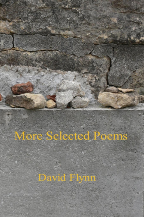 Knjiga More SelectedPoems David Flynn