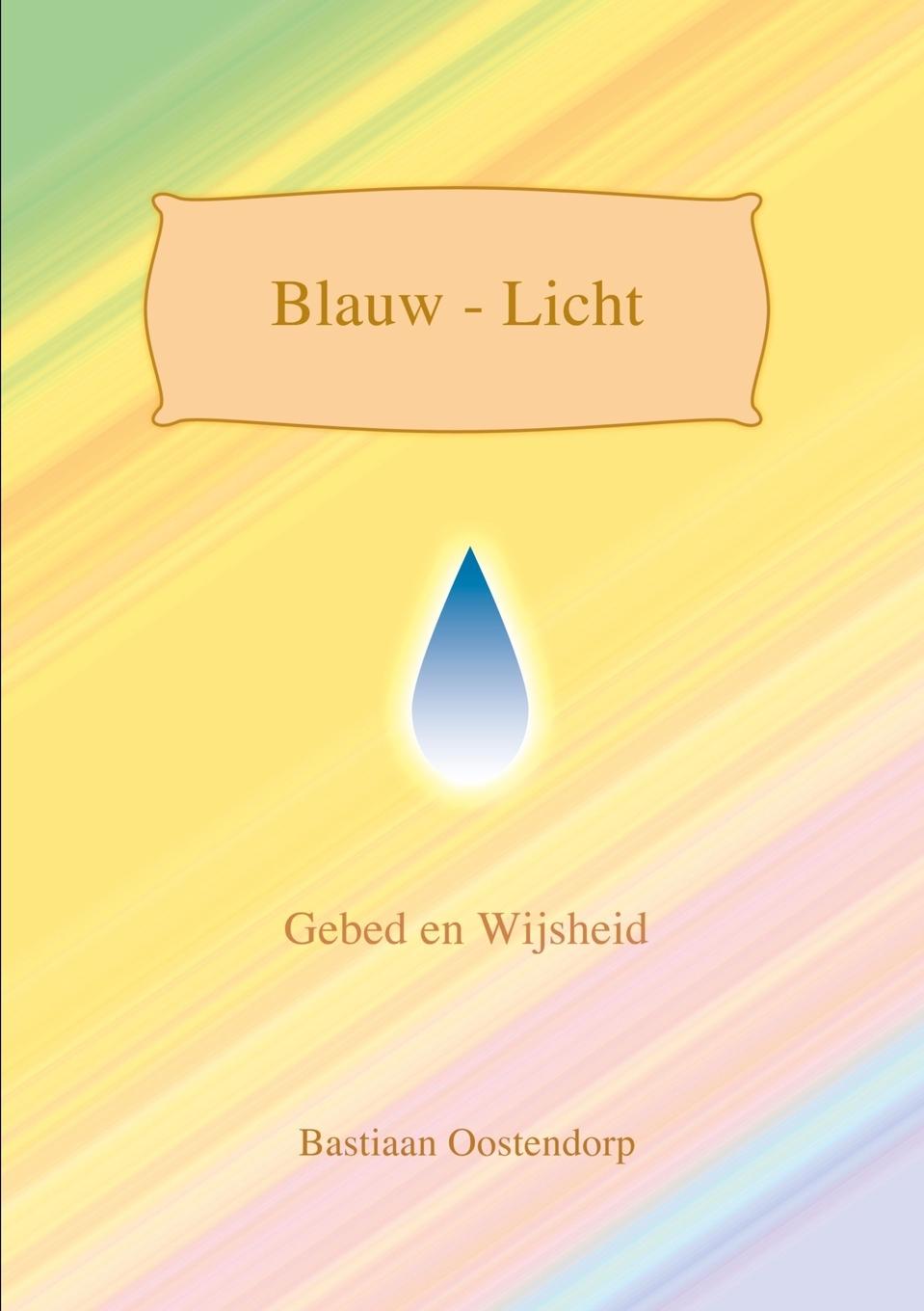 Boek Blauw Licht Bastiaan Oostendorp