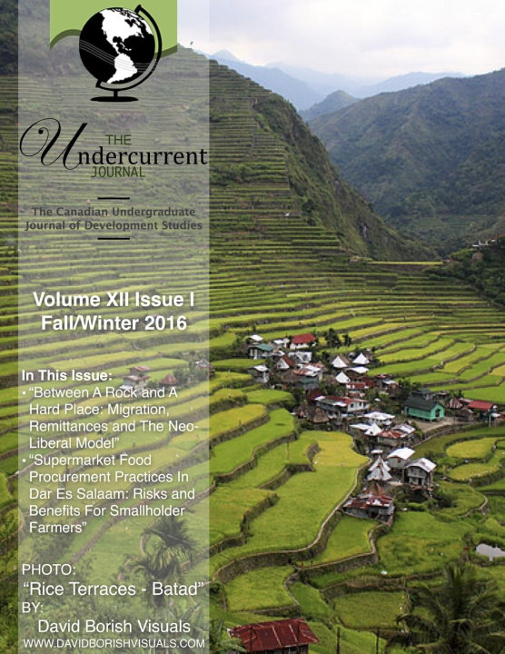 Knjiga Undercurrent Journal Andrey Hay (Editor-In-Chief)
