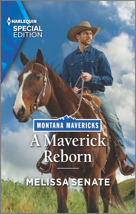 Buch A Maverick Reborn 