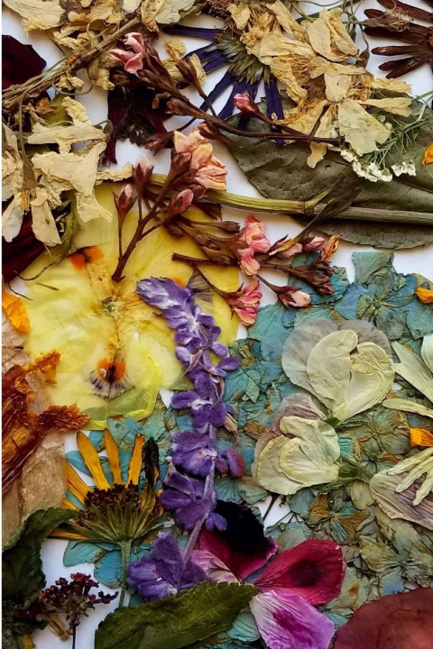 Knjiga Here, Take This October Poems