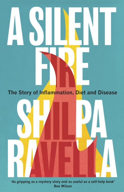 E-knjiga Silent Fire Shilpa Ravella