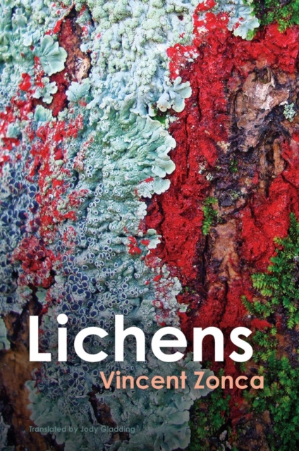 E-book Lichens Vincent Zonca