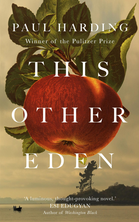 Könyv This Other Eden 