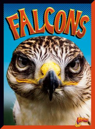 Libro Falcons 