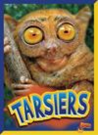 Libro Tarsiers 