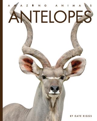 Knjiga Antelopes 