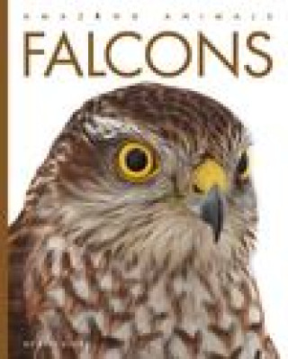 Knjiga Falcons 