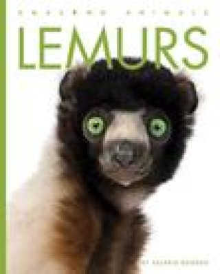 Βιβλίο Lemurs 