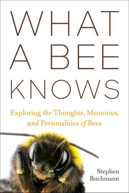 Książka What a Bee Knows: Exploring the Thoughts, Memories, and Personalities of Bees 