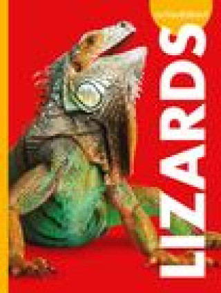 Knjiga Curious about Lizards 