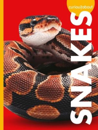 Kniha Curious about Snakes 