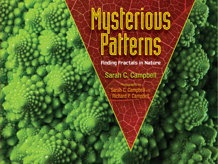 Kniha Mysterious Patterns: Finding Fractals in Nature Richard P. Campbell