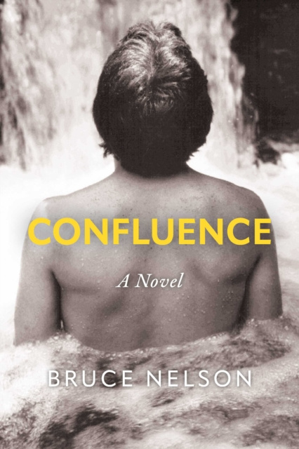 E-knjiga Confluence Bruce Nelson