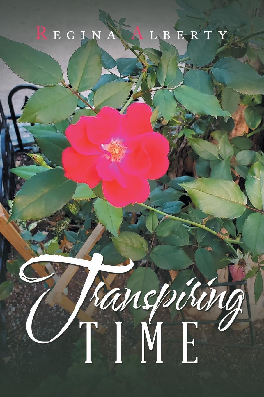 Knjiga Transpiring Time Regina Alberty