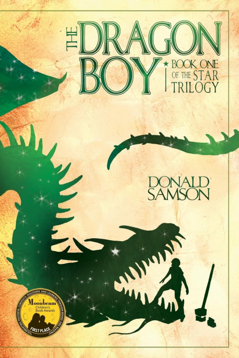 Buch The Dragon Boy Donald Samson