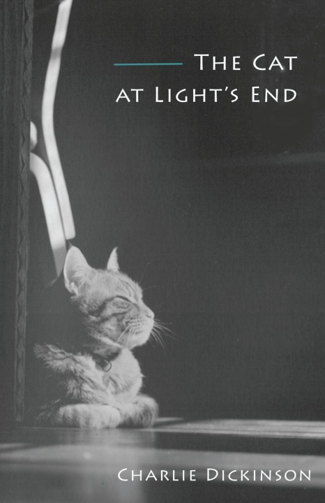 Buch The Cat at Light's End Charlie Dickinson